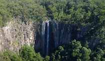 Minyon Falls, surrounded by World Heritage-listed rainforest in Nightcap National Park. Photo: Glenn Sanders &copy; Wild Byron