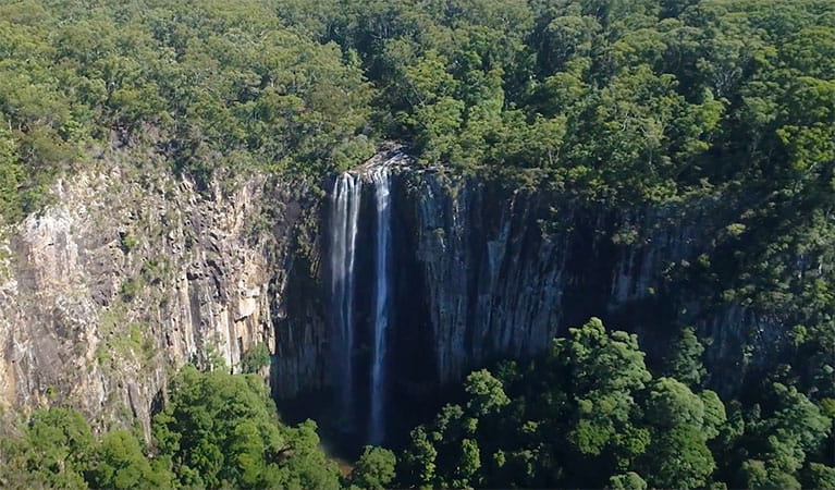 Minyon Falls, surrounded by World Heritage-listed rainforest in Nightcap National Park. Photo: Glenn Sanders &copy; Wild Byron