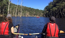 A pair of paddlers sits in a double canoe rig with wine glasses between them, looking out over a view of drowned gum trees and bushland, in Morton National Park. Photo credit: Amanda Fry &copy; Wildfest