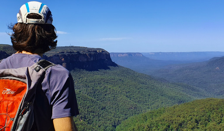 A young hiker wearing a red backpack looks out over forest-clad valleys and rocky cliffs in the Blue Mountains on a clear day. Wolfgang Wittmann &copy; Wolfgang and Hedi 