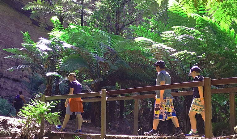 3 people in a tour group cross a wooden bridge set among tall tree ferns and a steep rock face in Wollemi National Park. Photo credit: Kristie Kearney &copy; Wolgan Valley Eco Tours