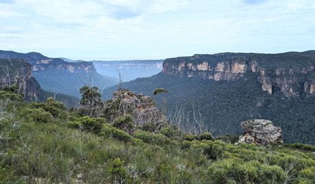 View of the Grose Valley with cliff in background. Photo &copy; Andrew Mitchell