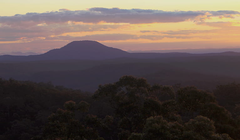 Mount Yengo at sunset in Yengo National Park. Photo credit: Leanne King &copy; Wollombi Aboriginal Cultural Experiences and Consultancy