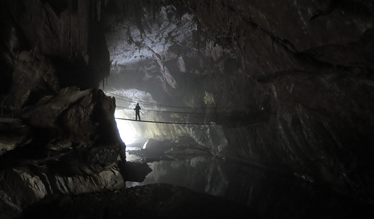 Swing bridge, Abercrombie Caves, Abercrombie Karst Conservation Reserve. Photo: Stephen Babka/OEH