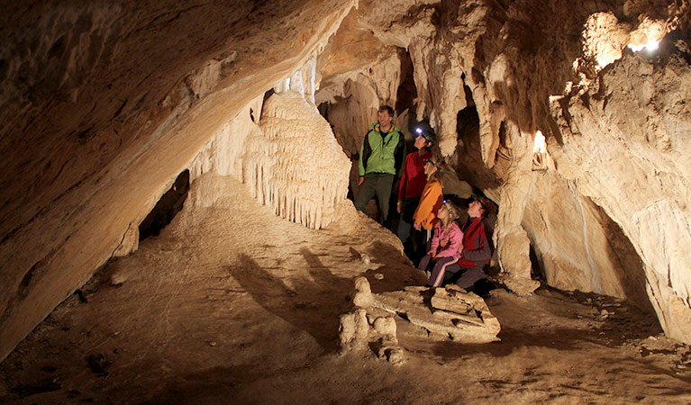 Entrance passage to Bushrangers Cave, Abercrombie Caves, Abercrombie Karst Conservation Reserve. Photo: Stephen Babka/OEH