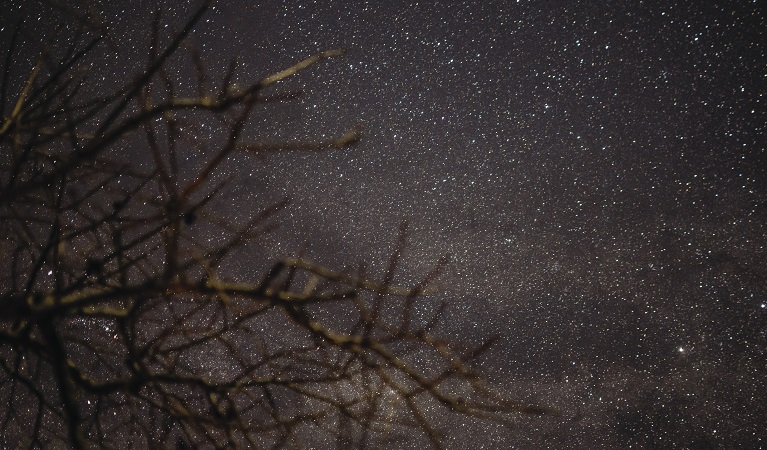 Starry night-time sky. Photo: James Elks