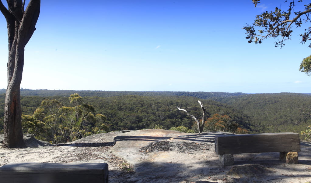 View over Ku-ring-gai Chase National Park. Photo: Rosie Nicola &copy; DPE