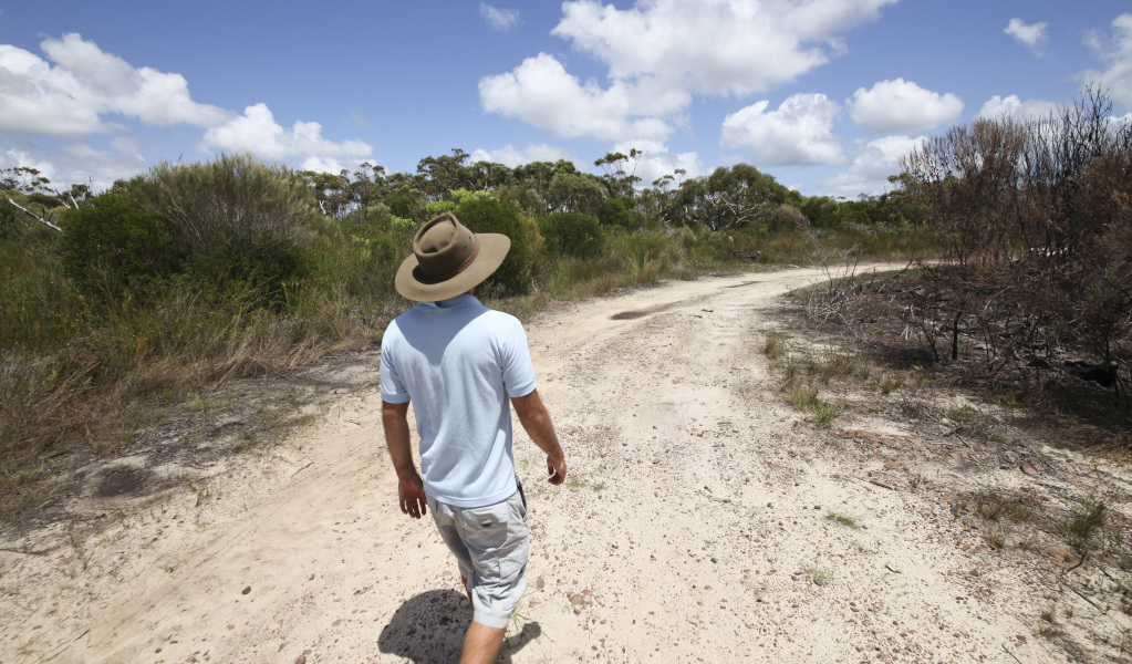 Man in hat and blue shirt walking along fire trail in Ku-ring-gai Chase National Park. Photo: Andrew Richards &copy; DPE
