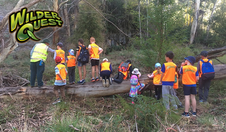 Children climbing on a log, helped by a WilderQuest ranger, Kosciuszko National Park. Photo: Nicola Beckett/OEH