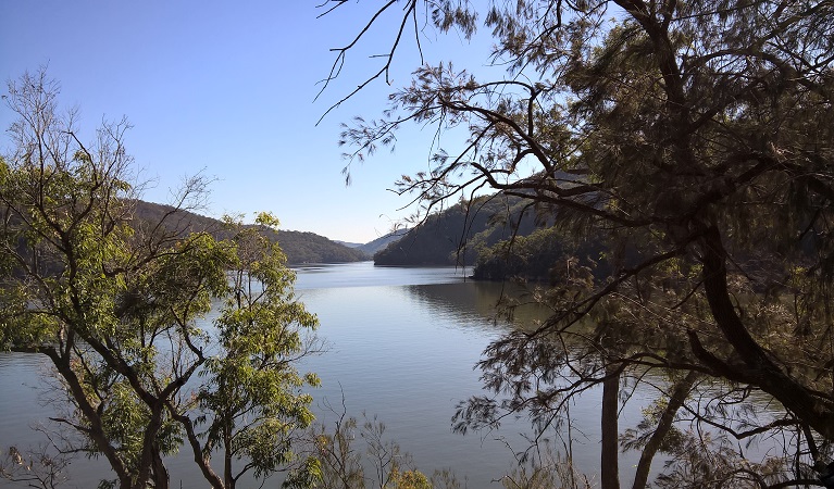 The view at Bujwa Bay, Muogamarra Nature Reserve. Photo: T Willsteed © the photographer