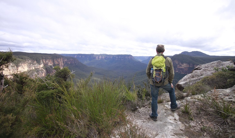 Bushwalker looking out at sweeping views, Blue Mountains National Park. Photo: Elinor Sheargold/OEH
