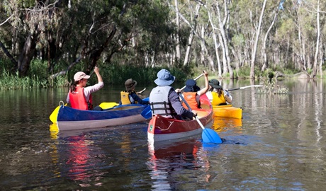 A family group canoeing along an undisturbed body of water surrounded by mangroves and gum trees. Credit: David Finnegan &copy; DCCEEW