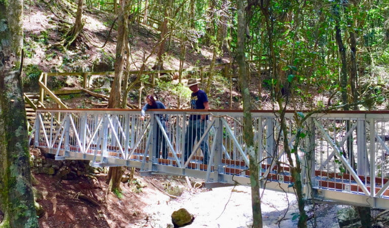 Two people looking out from a footbridge in Copeland Tops State Conservation Area. Photo credit: S. Milgate. &copy; DPIE