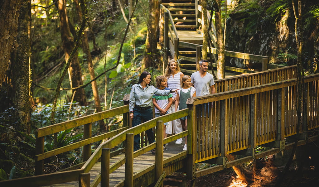 Family walking over a footbridge in the forest on a tour of Copeland Tops with a ranger. Photo credit and copyright: Destination NSW