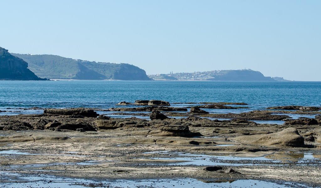 The Dudley Beach rock shelf at low tide, showing tree stumps from the fossilised forest, Glenrock State Conservation Area. Photo: John Spencer &copy; DPE