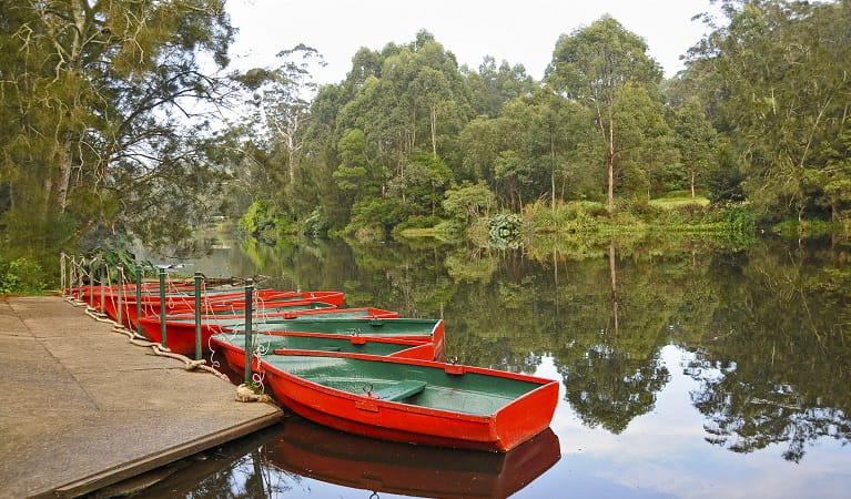 Red rowboats for hire lined up at the river ramp, Lane Cove National Park. Photo: Kevin McGrath &copy; DPE