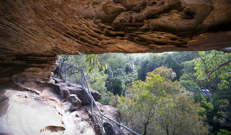 An overhanging sandstone rock cavern, Great North walk, Berowra Valley National Park. Photo: Nick Cubbin &copy; DPE