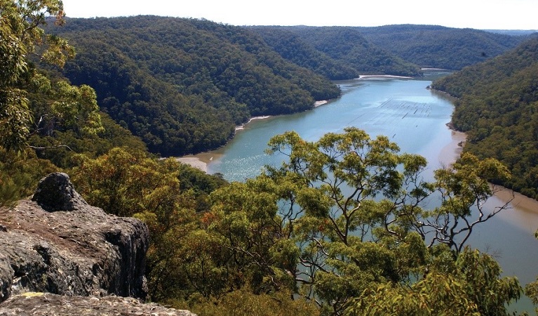 Views of Mooney Mooney creek in Brisbane Water National Park. Photo: Barry Collier.