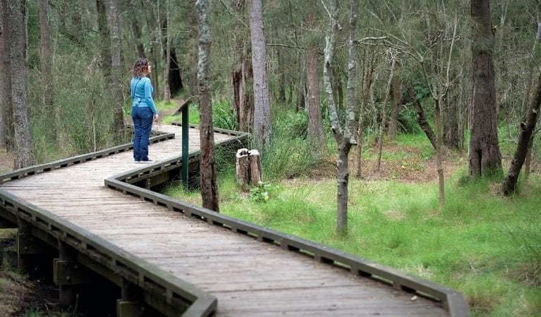 A female walker stands on a wooden pathway that crosses the delicate salt marsh in Berowra Valley National Park. Photo: Nick Cubbin.