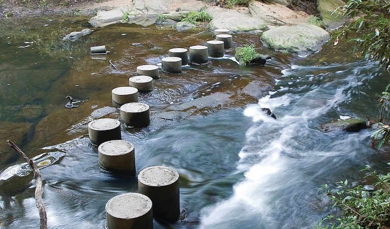 Stepping stones across Berowra Creek on stage 6 of the Great North walk. Photo: Michael Van Ewijk &copy; DPIE