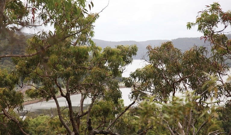 A view through the trees to the water below in Ku-ring-gai Chase National Park. Photo: Andrew Richards &copy; DPIE