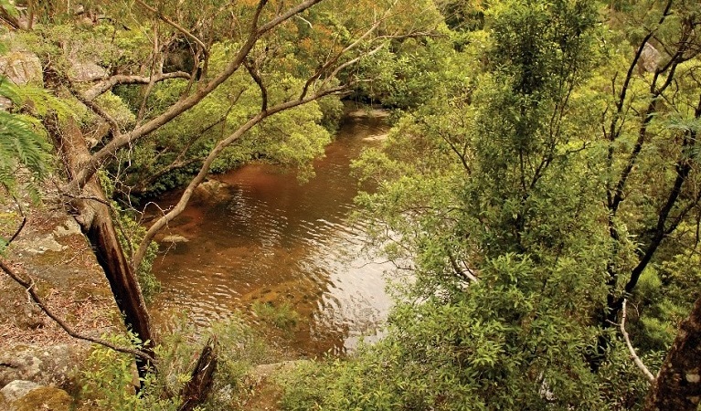 A view down into Piles Creek Gorge from the Girrakool loop track. Photo: John Yurasek