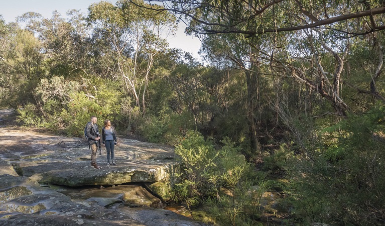 Two people enjoying the bush views on Cascades trail in Garigal National Park. Photo: John Spencer/OEH