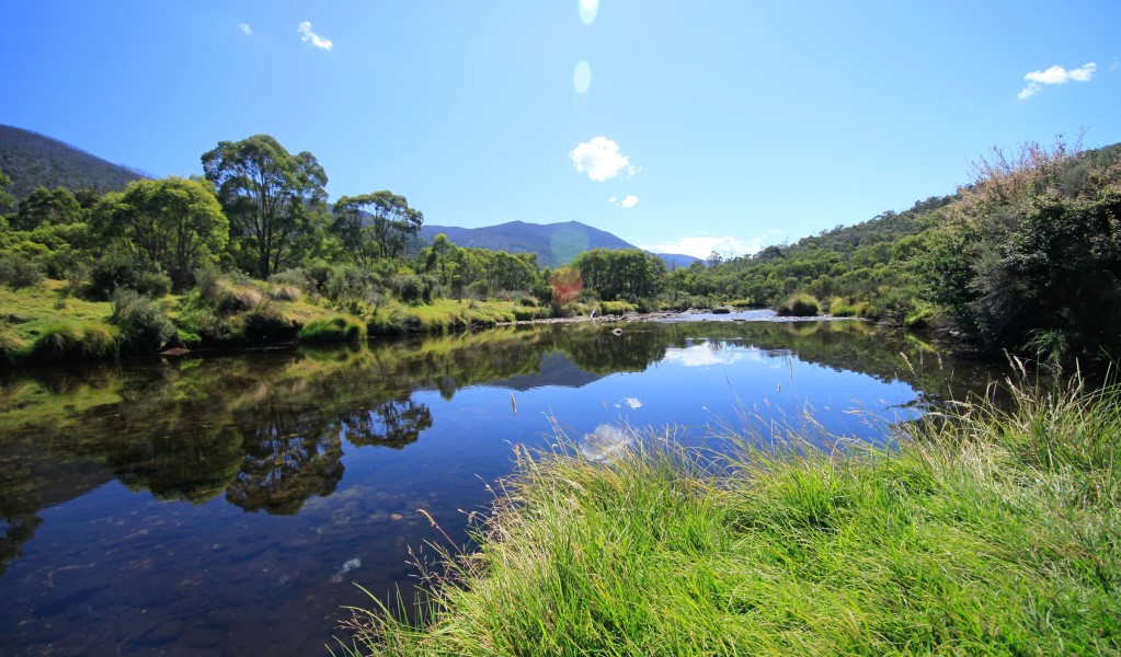 A view of mountain scenery with the merging waters of Thredbo River and Little Thredbo River at Bullocks Hut in Kosciuszko National Park. Photo: Elinor Sheargold/DCCEEW &copy; OEH