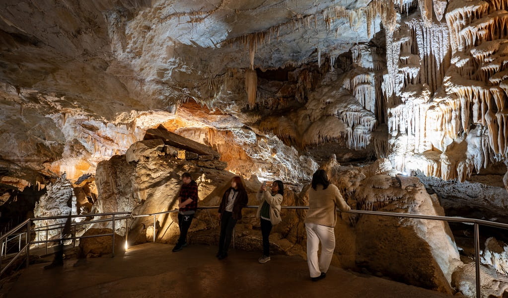 A tour group inside a large cave chamber at Jenolan Caves. Photo: Jenolan Caves/DPE