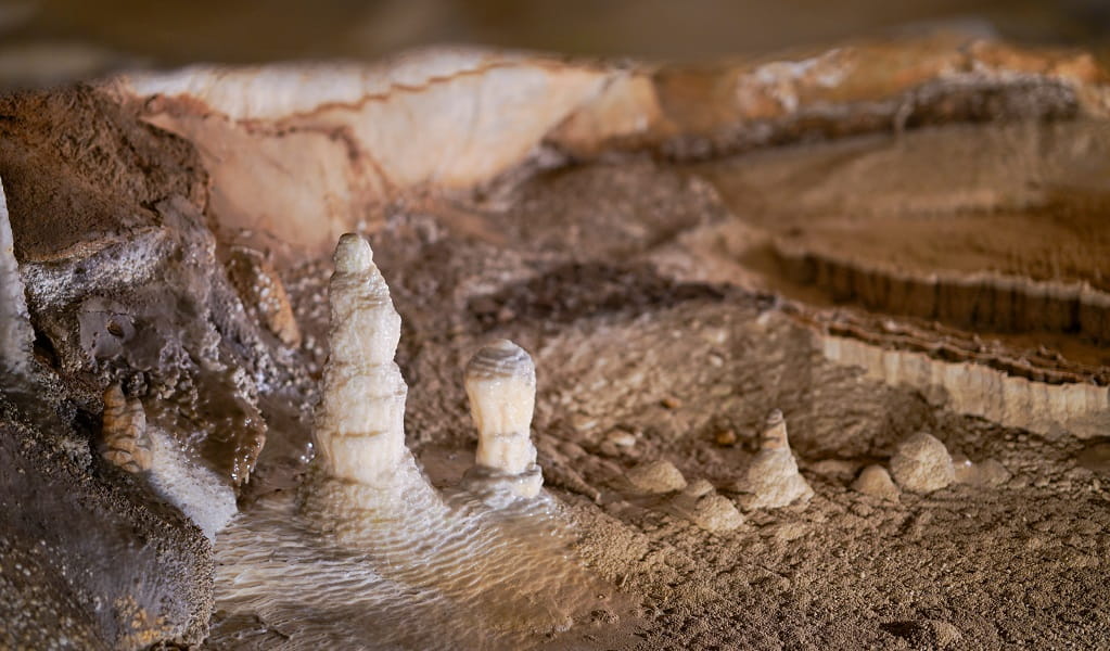 Beautiful cave formations at Jenolan Caves. Photo: Jenolan Caves &copy; DPE