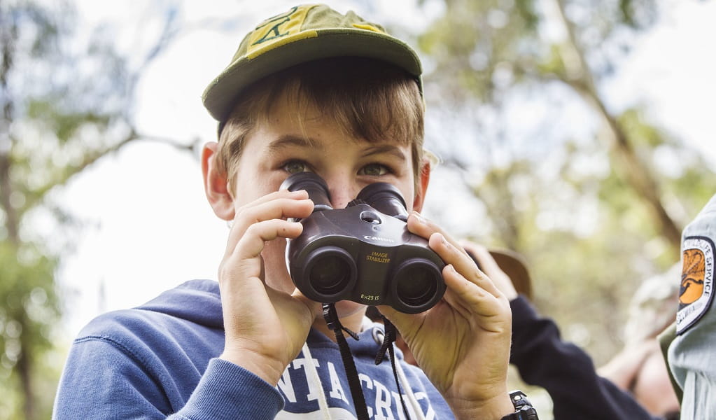 A child peeking over a pair of binoculars on a NPWS Discovery tour. Credit: Simone Cottrell/OEH &copy; Royal Botanic Gardens.