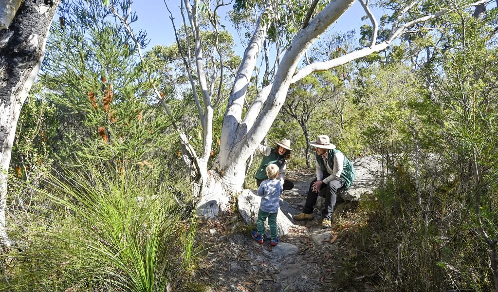 A child exploring Brisbane Water National Park with 2 NPWS Discovery rangers. Credit: Adam Hollingworth/DCCEEW &copy; DPE