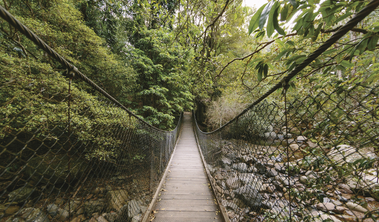 Bridge over Minnamurra River in Budderoo National Park. Photo: Michael Van Ewijk/DPIE
