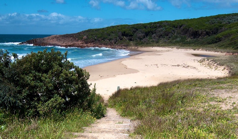 Kinglsley Beach, Tomaree National Park. Photo: John Spencer © DPE