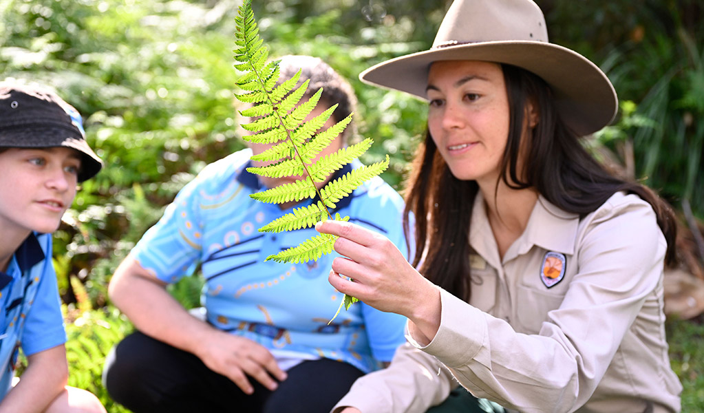 Children on excursion in a national park examine a fern frond held by a Discovery Ranger. Credit: Adam Hollingworth/DCCEEW &copy; DPE