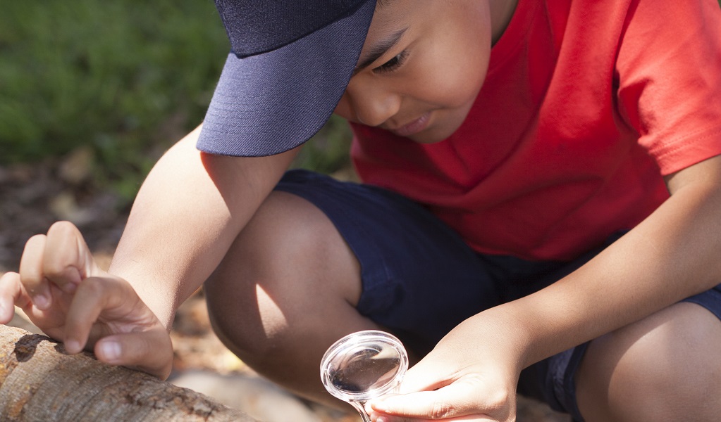 Young boy takes part in a nature play activity. Photo: Rosie Nicolai &copy; OEH