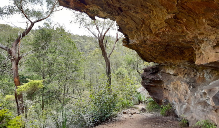 Lyrebird Caves in Berowra Valley National Park. Photo: Jennifer Roberts &copy; DPIE