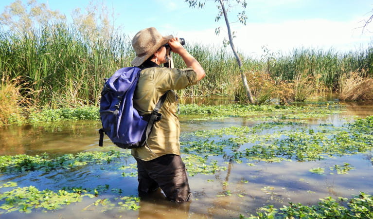 Man standing in Macquarie Marshes. Photo: Nicola Brookhouse &copy; DPE