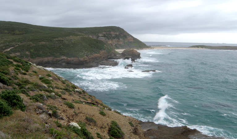 Moonee Beach, Munmorah State Conservation Area. Photo: Marks Shanks/OEH