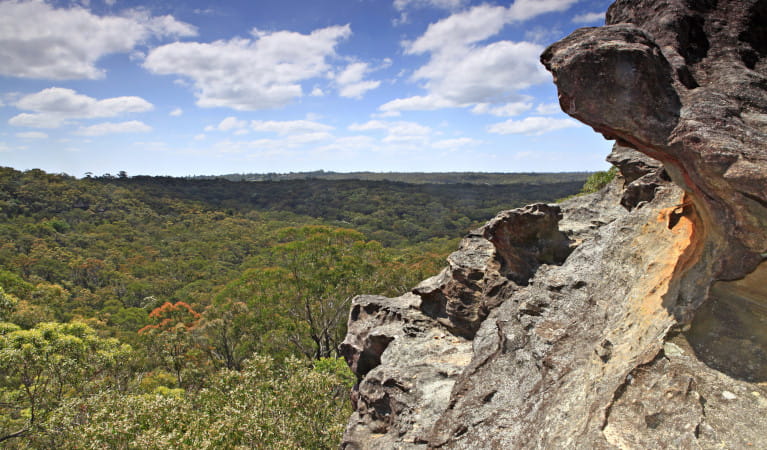 View in Ku-ring-gai Chase National Park. Photo: Rosie Nicolai &copy; DPE