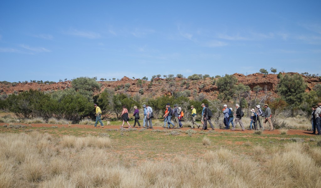 A group of people walking across a grassy plain in Mutawintji National Park on the Mutawintji cultural tour. Photo: Otis Filley &copy; DCCEEW