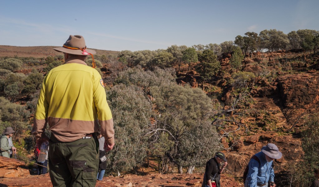 An Aboriginal guide looking out across the landscape of Mutawintji National Park on the Mutawintji cultural tour. Photo: Otis Filley &copy; DCCEEW