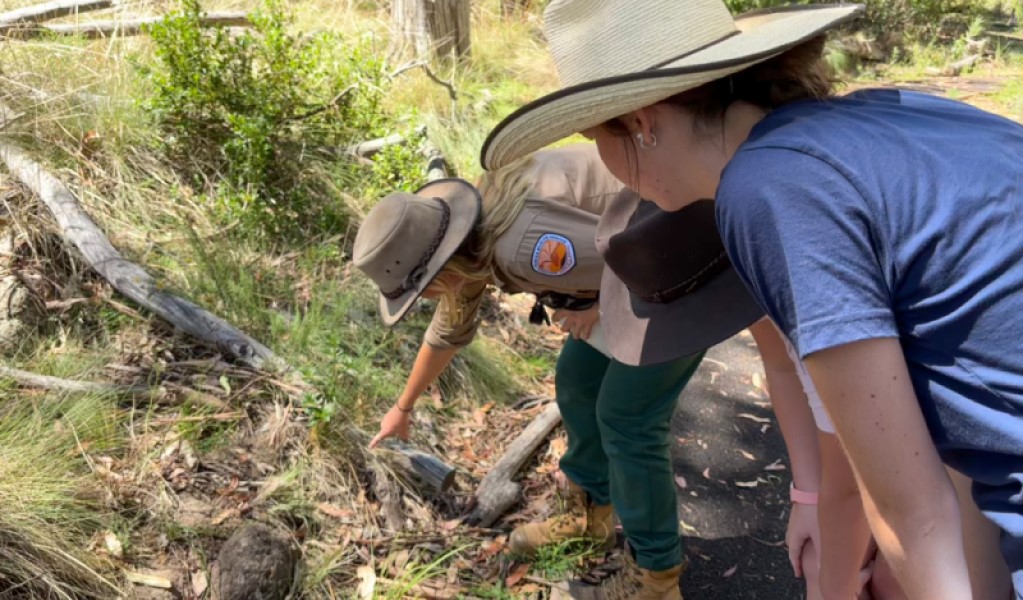 Discovery ranger guiding visitors on Dawsons Spring nature trail in Mount Kaputar National Park. Photo: Rochelle Eather &copy; DCCEEW