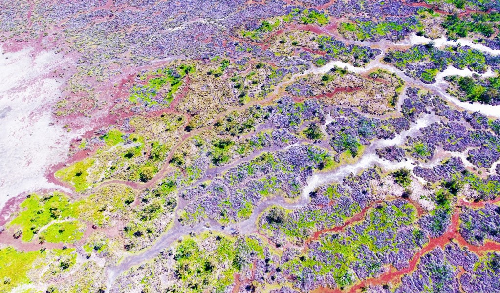 Aerial view of the inflows of Narran Lake in Narran Lake Nature Reserve. Photo: Nicola Brookhouse/DCCEEW &copy; Nicola Brookhouse