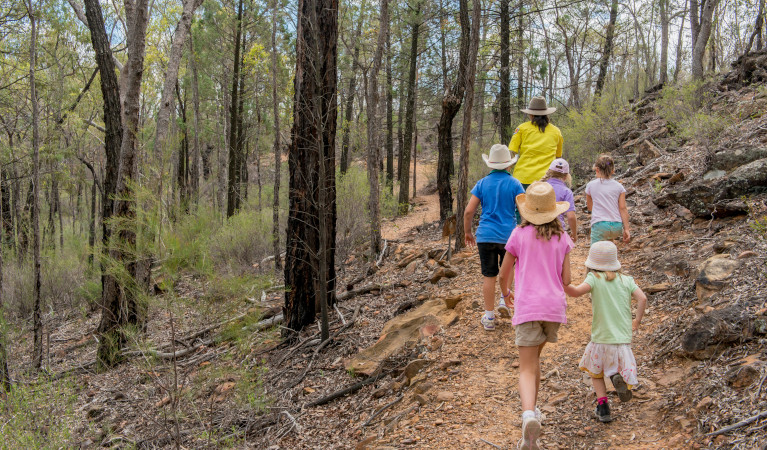 Family walking through bush in Pilliga. Photo: John Spencer &copy; DPE