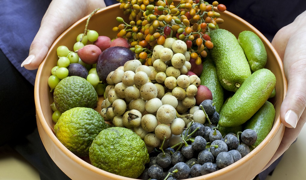 Rainforest fruits and seeds. Photo: Simone Cottrell &copy; Royal Botanic Gardens and Domain Trust