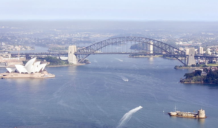 Sydney Harbour aerial view. Photo: Simone Cottrell/Botanic Gardens Trust