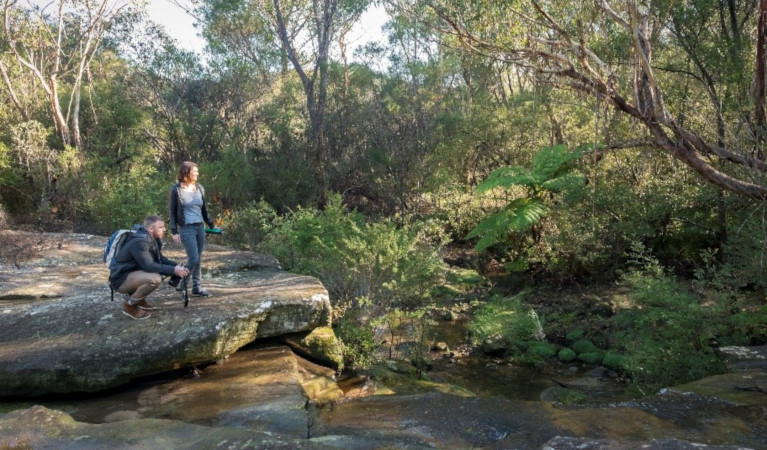 The Cascades in Garigal National Park near Sydney. Photo: John Spencer, &copy; DPE