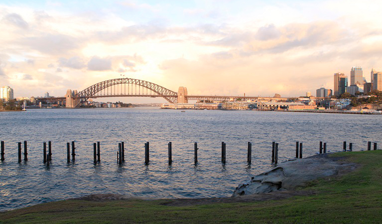 Sunset, Sydney Harbour Bridge view from Goat Island. Photo: Rosie Nicolai/OEH
