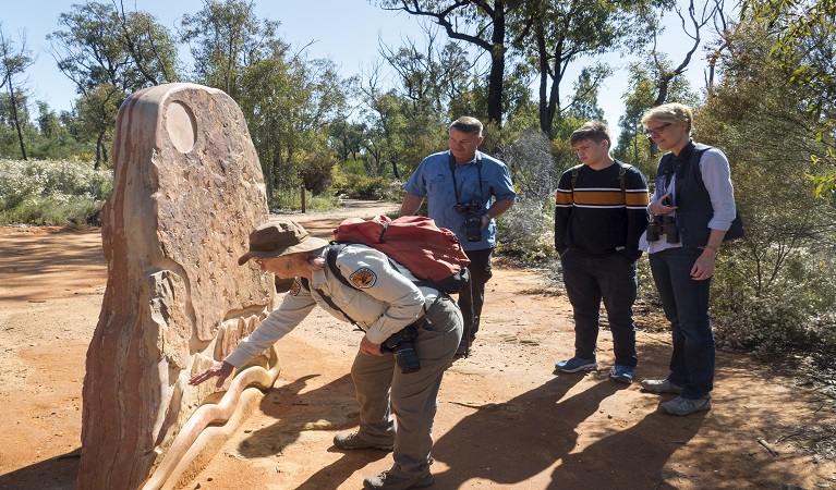 Discovery nature while walking on the wild side in the Pilliga.  Photo: Leah Pippos &copy; DPE